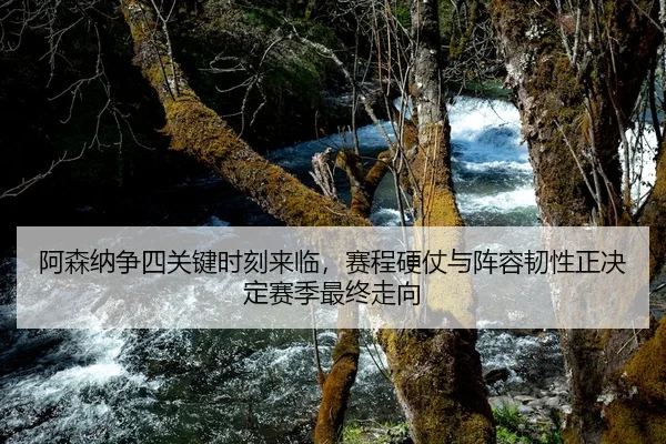 a-sen-na-zheng-si-guan-jian-shi-ke-lai-lin-sai-cheng-ying-zhang-yu-zhen-rong-ren-xing-zheng-jue-ding-sai-ji-zui-zhong-2-173.jpg